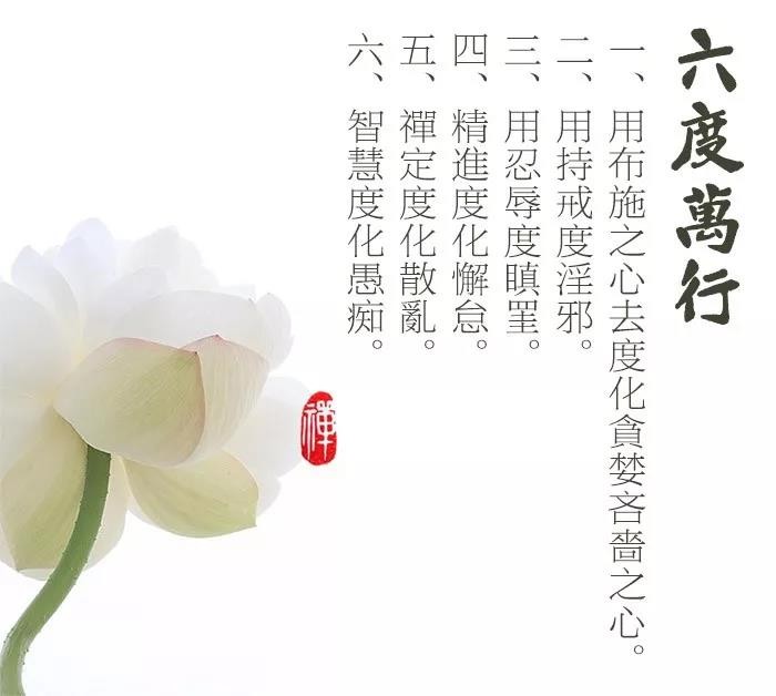 六度万行 般若智慧 证得菩萨果位 信息 比利时光 比利时华人综合信息网